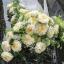 Gada roze 2019 debitēs Hemptonkortas pils ziedu izstādē