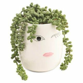 String of Pearl Wink Pot