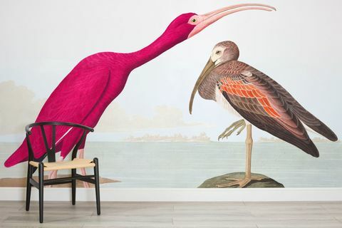 The Audubon Collection - fåglar - väggmålningar. Illustrationer av J.J. Audubon, Amerikas fåglar