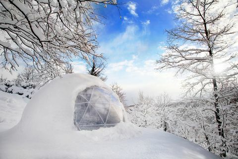 Neve, inverno, cielo, congelamento, albero, brina, fenomeno atmosferico, ramo, ghiaccio, calzature, 