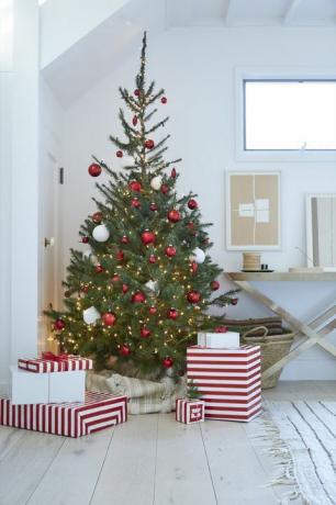 עץ חג המולד, קישוט חג המולד, עץ, אשוח קולורדו, קישוט חג המולד, חג המולד, לבן, בית, אורן אורגון, אדום, 