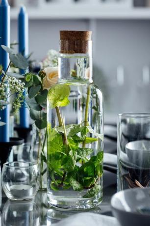 Tanam tanaman hijau dalam botol kaca