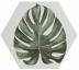 El nuevo azulejo de porcelana con diseño de jungla de Ca 'Pietra atrae el aire libre