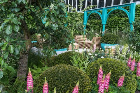 '500 godina Covent Gardena' Vrt zaklade Sir Simon Milton u partnerstvu s Capcom. Dizajn: Lee Bestall. Sponzorira: Capital & Counties Properties PLC. RHS izložba cvijeća Chelsea 2017