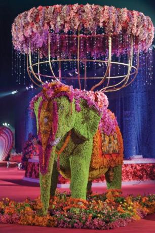 Ματζέντα, μοβ, ροζ, ελέφαντες και μαμούθ, διακόσμηση, ελέφαντας, βιολετί, ινδικός ελέφαντας, κόσμος, θάμνος, 