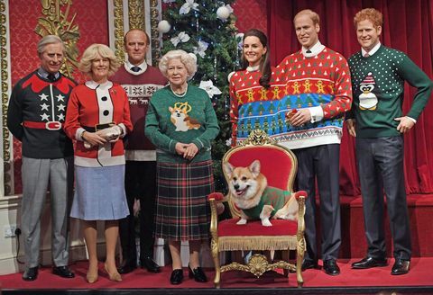 Človek, dogodek, pasma psov, mesojed, pes, praznik, božična dekoracija, božični okras, božični večer, športna skupina, 