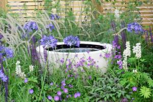 Apvienotās Karalistes 50 populārākie sapņu dārza objekti - dārza iezīmes