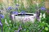 Рейтинг 50 лучших садов мечты в Великобритании - Особенности сада