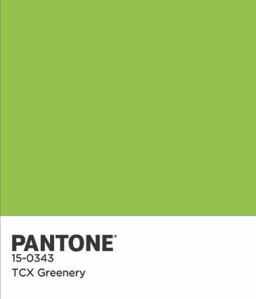Pantone COTY 2017 színes chip