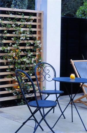 Terrasse mit Gartenmöbeln mit Kletterpflanze Trachelospermum jasminoides (Sternjasmin)