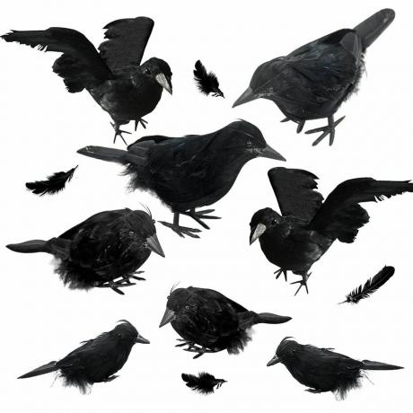 Cuervos con plumas negras. Juego de 8