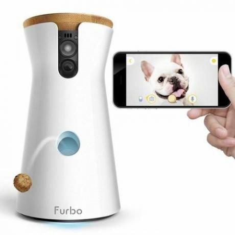 Διαδραστική κάμερα σκύλου Furbo