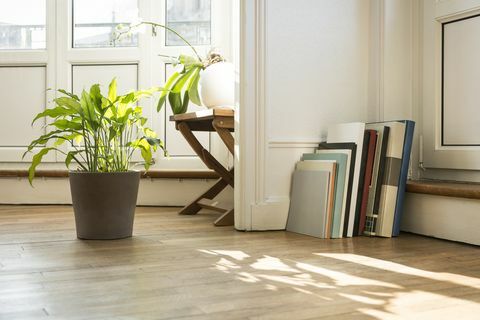 寄木細工の床、ナンシー、フランスの緑の植物とアートブック
