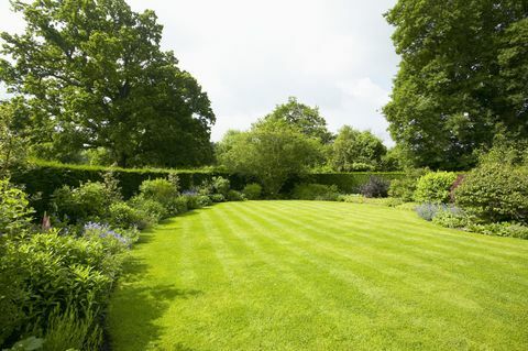Gramado cercado por plantações de bordas, The Lowes Garden, The Coach House, Haslemere, Surrey, Reino Unido