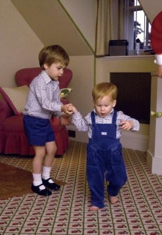Prins William prøver å gi sin lillebror, prins Harry, en hjelpende hånd når han tar sine første skritt hjemme hos ham, Kensington Palace