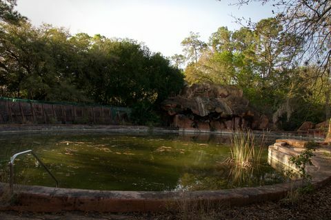 Lagoa, Jardim, Pantanal, Elemento d'água, Pântano, 