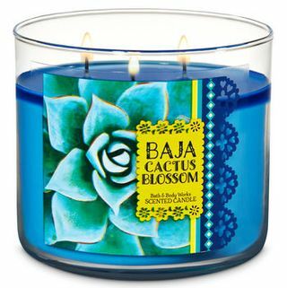 3-knotová svíčka Baja Cactus Blossom