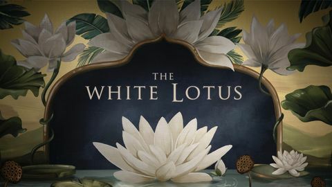 een wallpaper uit de openingscredits van hbo's the white lotus