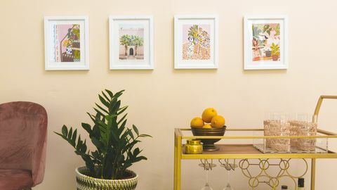 Geltona, kambariniai augalai, kambarys, nuosavybė, interjero dizainas, vazonas, augalas, stalas, baldai, gėlė, 