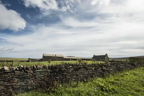 Holm of Grimbister - Skottland - Orkney - vägg - Savills