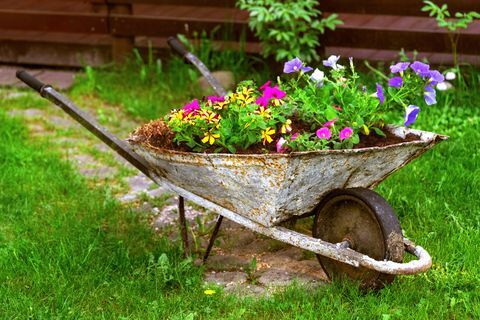 Canteiro de flores enferrujado de carrinho de mão colorido decoração de jardim de flores