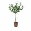 Die HSN-Linie von Patricia Altschul enthält einen künstlichen Olivenbaum für nur 29,95 $