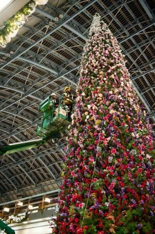 47 -metrový kvetinový vianočný stromček bol odhalený na medzinárodnej stanici St Pancras v Londýne.