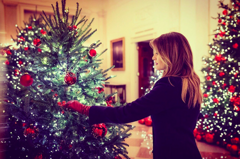 Karácsonyfa, karácsony, karácsonyi dekoráció, fa, piros, karácsonyi dísz, karácsony estéje, szépség, növény, Colorado lucfenyő, 