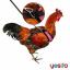 Amazon'daki En İyi Tavuk Koşum Takımı