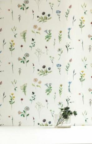 Pedicel, botanika, ozadje, divji cvet, tekstil, rastlina, notranje oblikovanje, ovojni papir, 