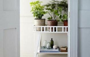 6 smukke måder at vise indendørs planter på