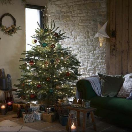 fraser jedle vánoční strom, dobbies