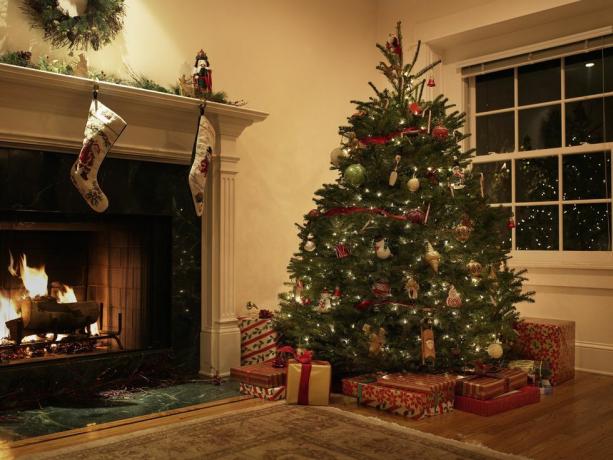 pohon Natal di ruang tamu