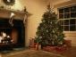 실제 대 가짜 크리스마스 트리: 귀하의 집에 적합한 것은 무엇입니까?