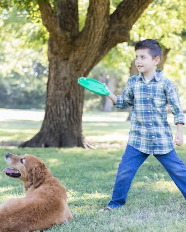niño se prepara para lanzar un disco de plástico al perro