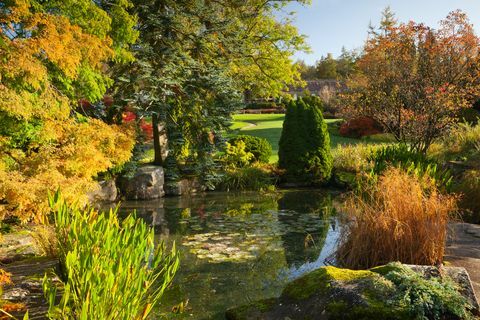 the sandstone rock garden rhs garden harlow carr otoño, octubre de 2019
