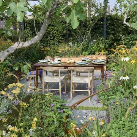 Выставка цветов в Челси в 2021 году сад-заповедник с коробками для петрушки, спроектированный аланом уильямсом