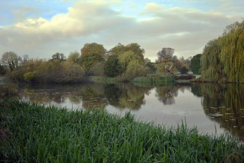 Un amanecer de octubre en los terrenos de Foots Cray Meadows, junto al puente de cinco arcos sobre el río Cray en Bexley, Kent, Inglaterra.