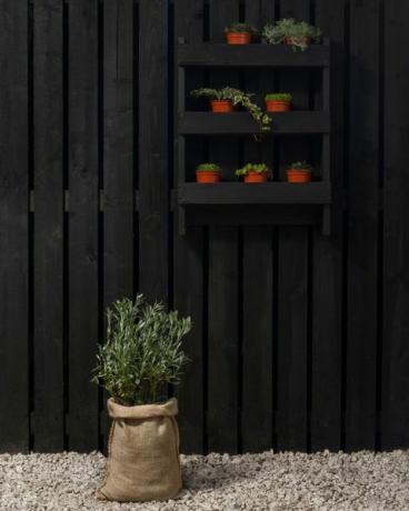 vernice nera per recinzione del giardino, vernice per recinzione del giardino ronseal life plus tudor black oak