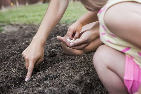 Madre e hija plantar semillas en el jardín