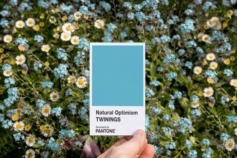 Twinings Infusions Natural Optimism in Verbindung mit Pantone