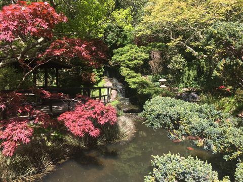 japonská záhrada, newquay