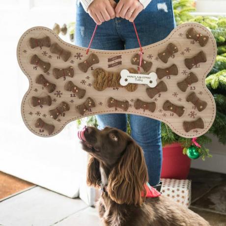 Рождественский календарь с печеньем для собак многоразового использования