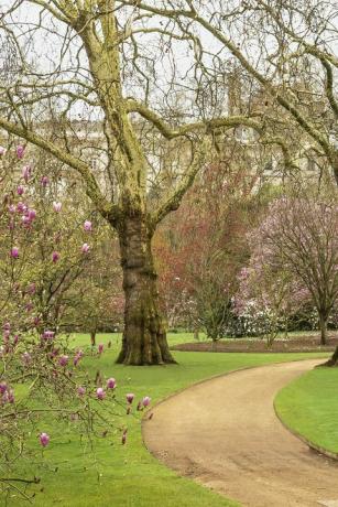 Buckingham Palace Gardens in einem neuen Buch enthüllt