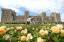 Windsor Castle East Terrace Garden für die Öffentlichkeit zugänglich