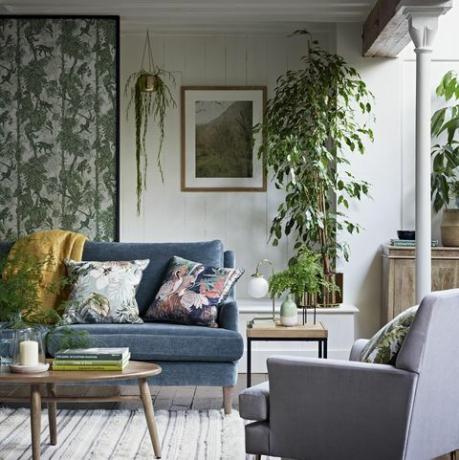 Living, cameră, mobilier, design interior, verde, proprietate, casă, casă, perete, canapea, 
