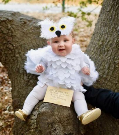 dojenček v drevesu, oblečen v kostum harry potter hedwig sove