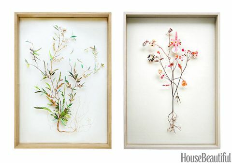 Grana, cvijet, latica, botanika, grančica, umjetnost, cvjetnica, pedikel, stabljika biljke, kreativne umjetnosti, 