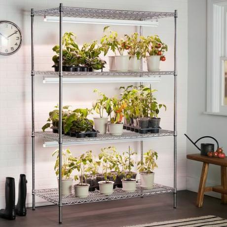 Spoločnosť GE Lighting pestuje ľahké izbové záhradné rastliny