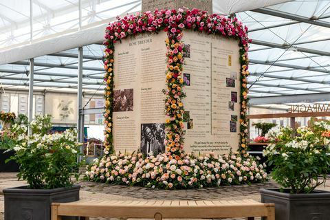 David Austin Roses monument, Chelsea Flower Show 2019
